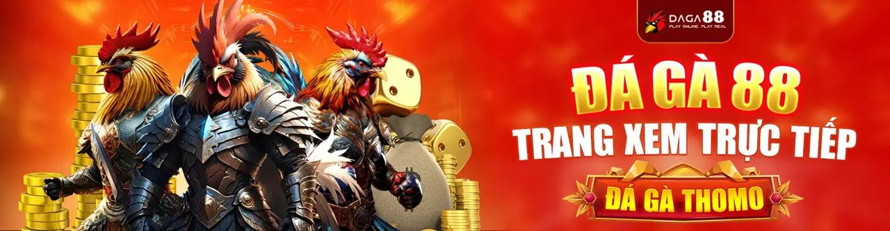 Đá gà trực tiếp hôm nay
